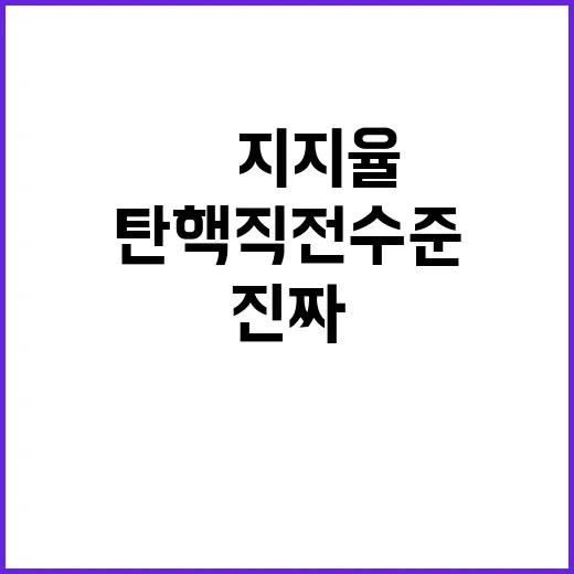 尹 지지율 탄핵 직…