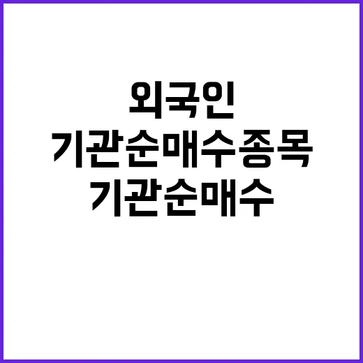 외국인·기관 순매수 종목 급등 개인 투자자 패닉!