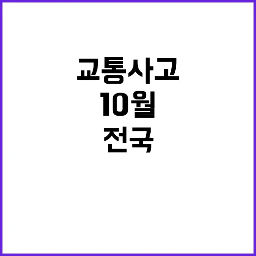 교통사고 다발! 10월 마지막 주말 전국 충격 현장!