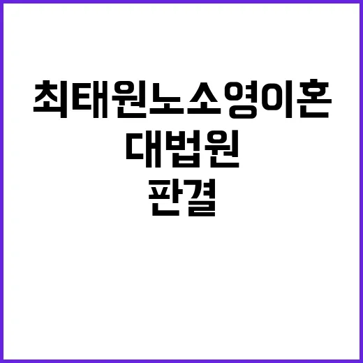 대법원 최태원노소영…