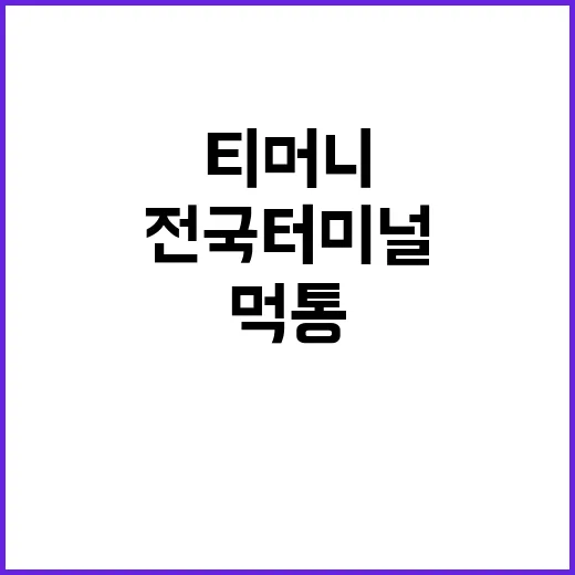 티머니GO 먹통 전…