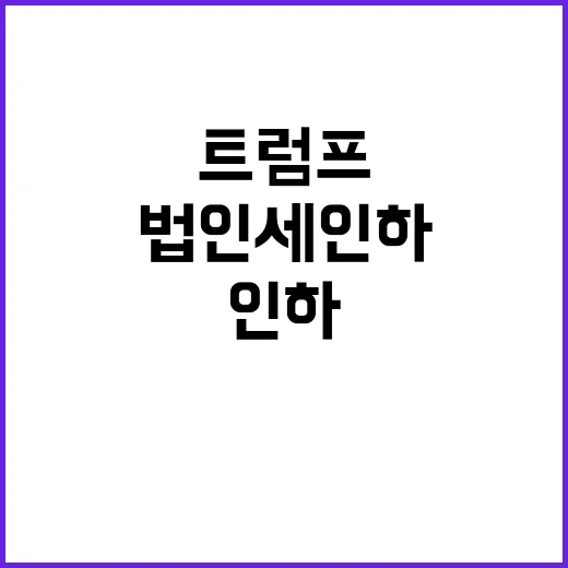 트럼프 법인세 인하…