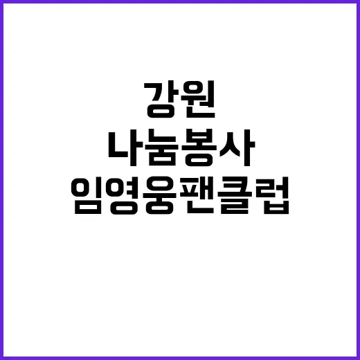 임영웅 팬클럽 강원 나눔 봉사로 선한 영향력 확산!