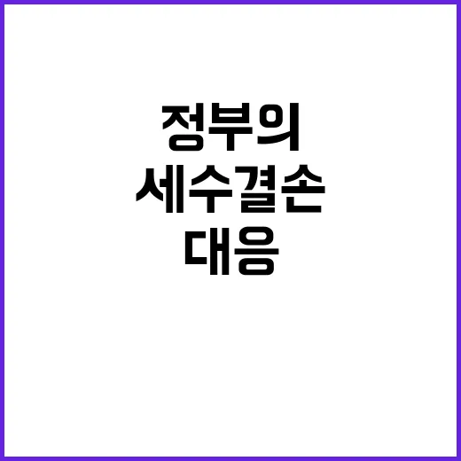 세수결손 책임 정부…