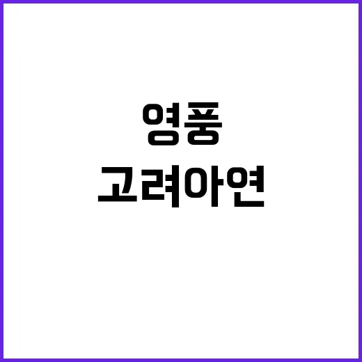 고려아연과 영풍의 …