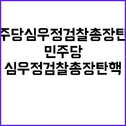 민주당 심우정 검찰총장 탄핵 연기 결정의 배경은?