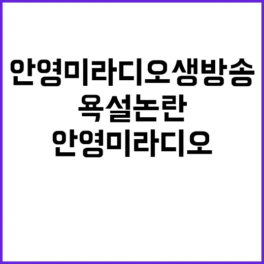 안영미 라디오 생방송 욕설 논란! 패러디 이어진 파문