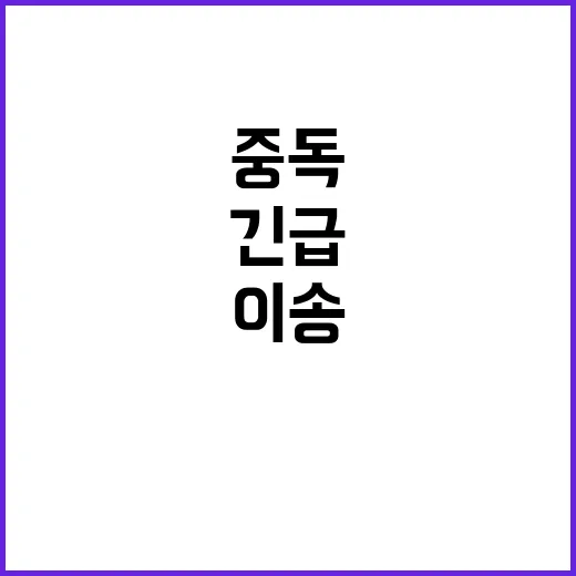 독버섯 중독 경고! 주민 10명 병원 긴급 이송