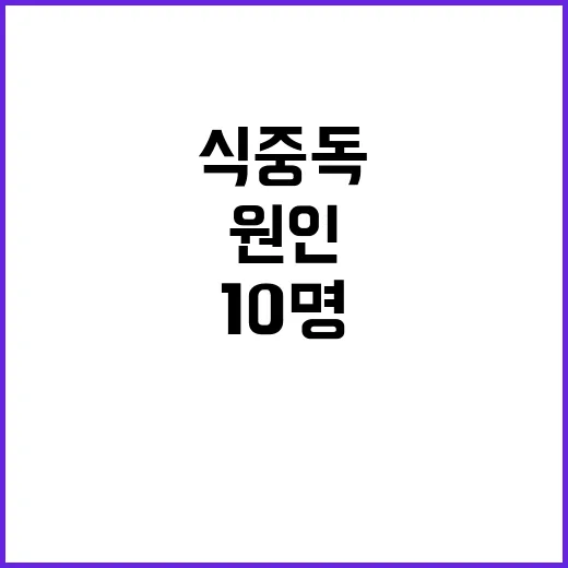 버섯 식중독 노인 10명 중독 원인 조사 중!