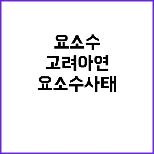 고려아연 위기 요소…