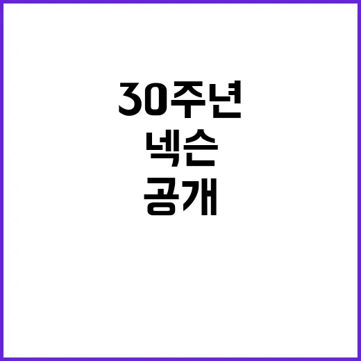 넥슨 30주년 IP…