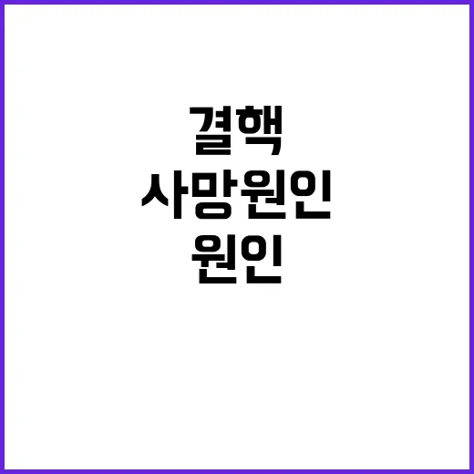 결핵 세계 보건 위험 다시 첫 번째 사망 원인