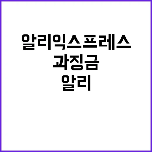 알리익스프레스 과징…