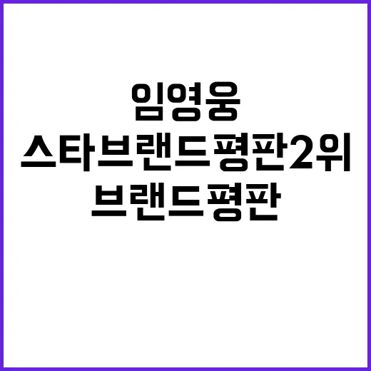 임영웅 스타 브랜드…