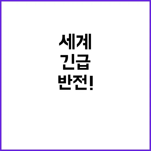 긴급 세계 시장 반…