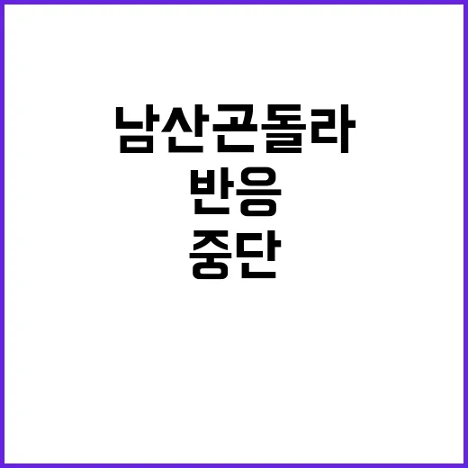 남산 곤돌라 사업 …