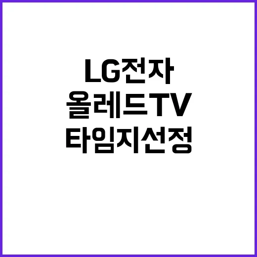 LG전자 투명 올레…