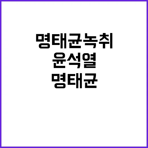 윤석열명태균 녹취 …