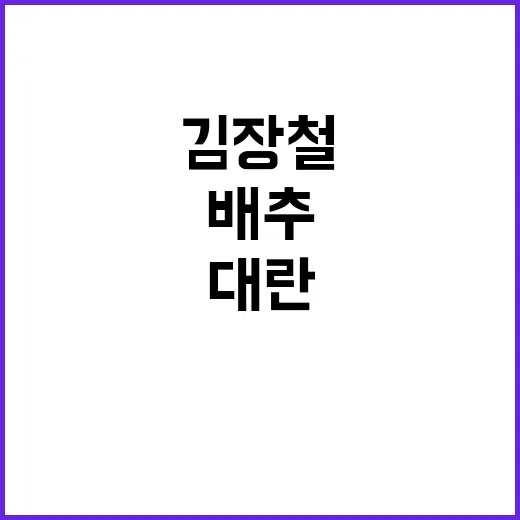 김장철 배추 무 대…