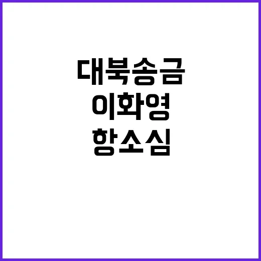 대북송금 사건 이화…