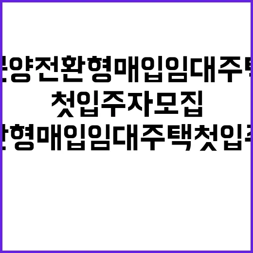 분양전환형 매입임대주택 첫 입주자 모집의 비밀