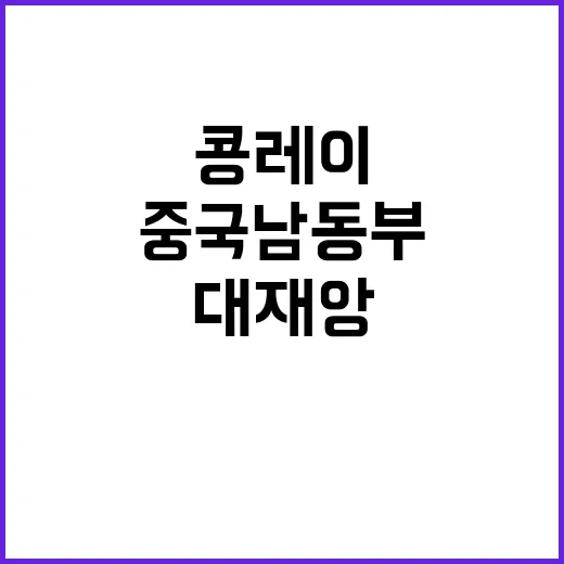 콩레이 대재앙 중국…