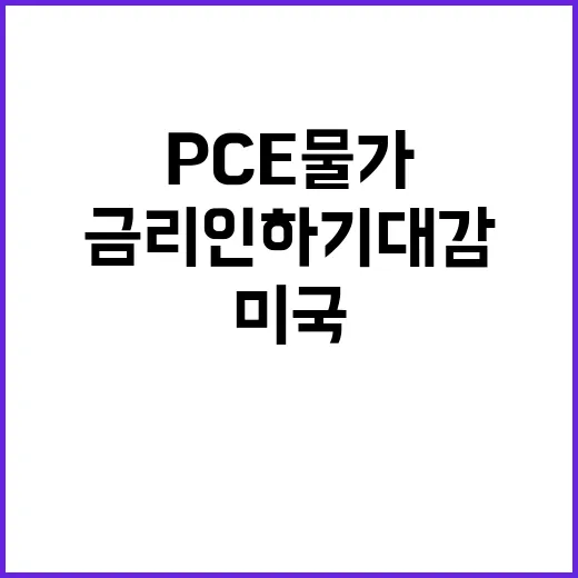 미국 PCE 물가 상승 금리 인하 기대감 증가