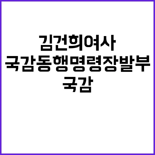 김건희 여사 국감 …