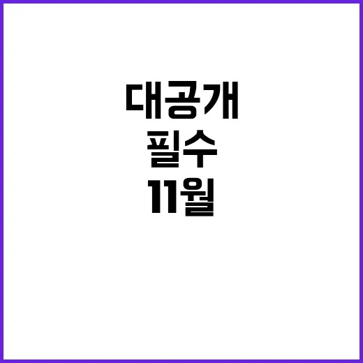 11월 정책 변화 …