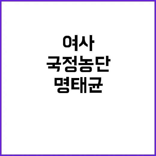 국정농단 스캔들 김…