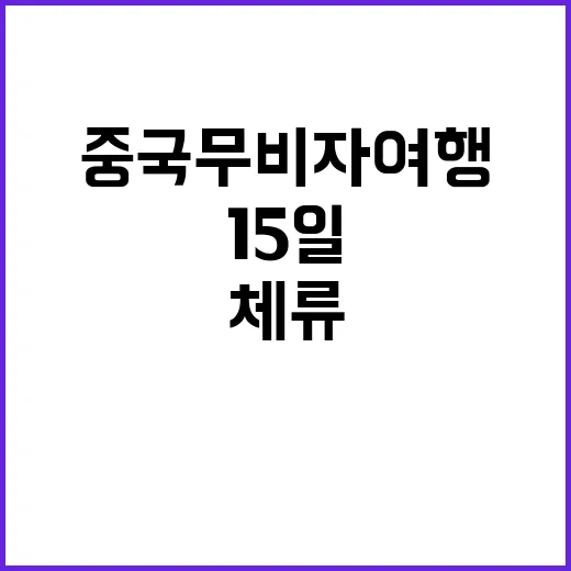 중국 무비자 여행 …