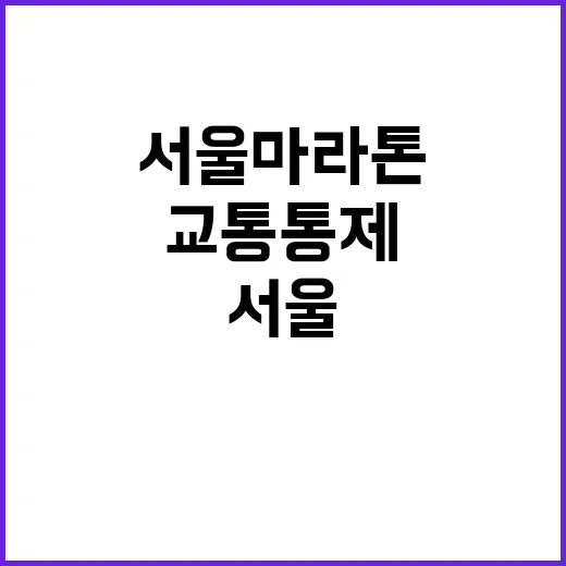 서울 마라톤 교통통…