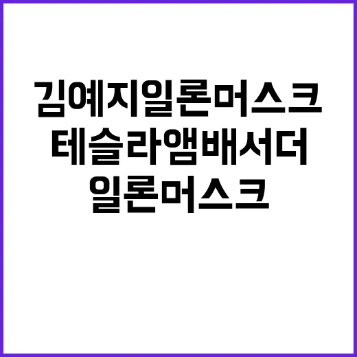 테슬라 앰배서더 김…