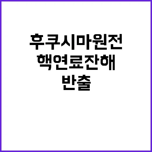 후쿠시마 원전 핵연…