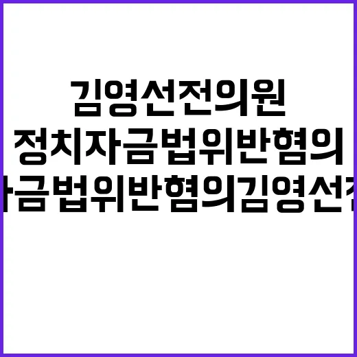 정치자금법 위반 혐…