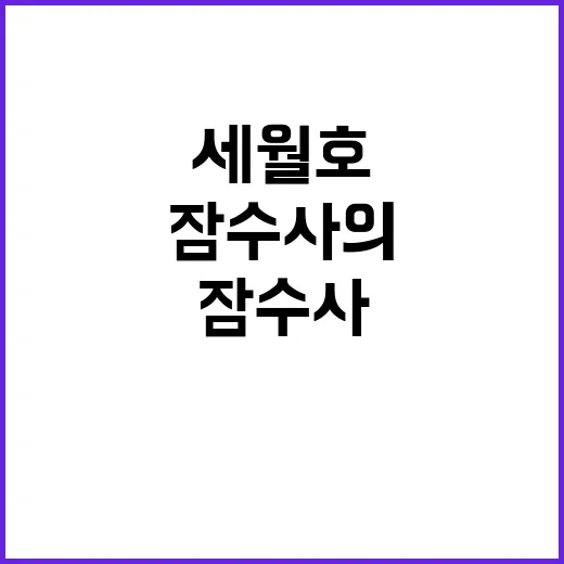 세월호 실종자 잠수사의 마지막 여정과 희생