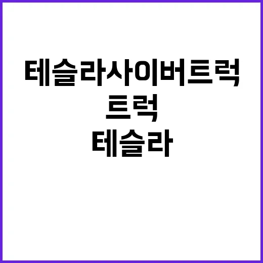 테슬라 사이버트럭 …