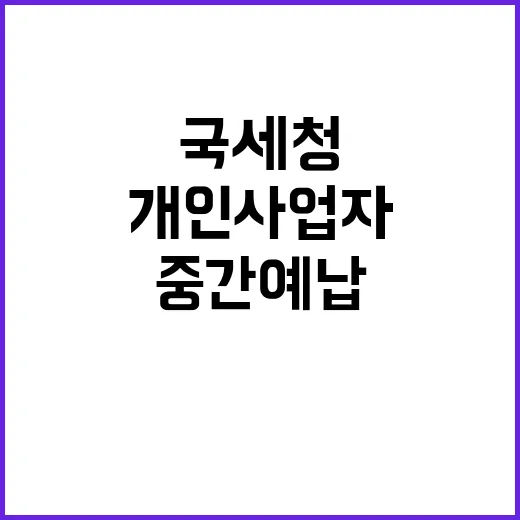 국세청 중간예납 개…