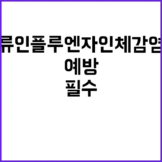 조류인플루엔자 인체감염증 예방 필수 정보!