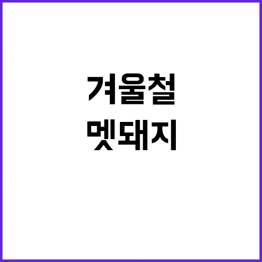 멧돼지 위험 증가 겨울철 ASF 방어 대책 총력!