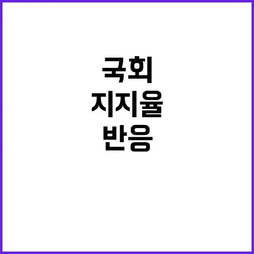 지지율 국회 패싱 …