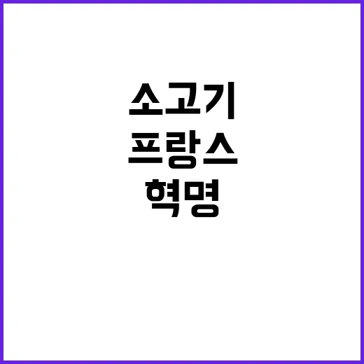 프랑스 소고기 국내 식탁 혁명? 영향 분석!