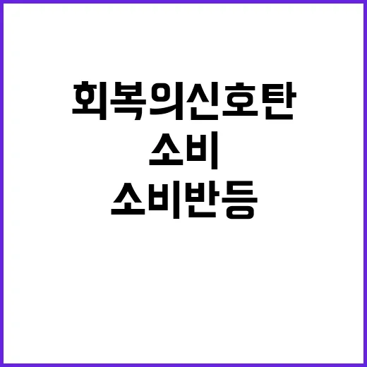 민간소비 반등 경제 회복의 신호탄!