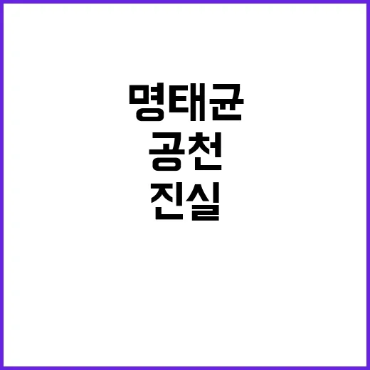 명태균 탈세 스캔들…