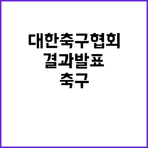 대한축구협회 충격 결과 발표! 사람들의 반응은?