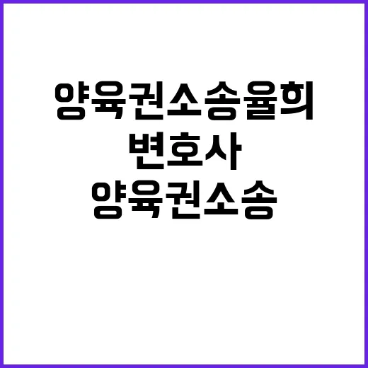 양육권 소송 율희 …