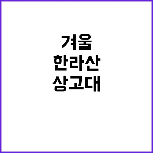 서울 첫서리 한라산 상고대 겨울의 시작!