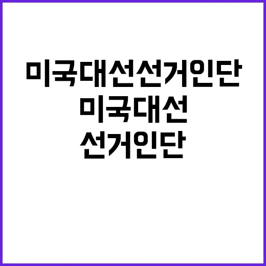 미국 대선 선거인단…