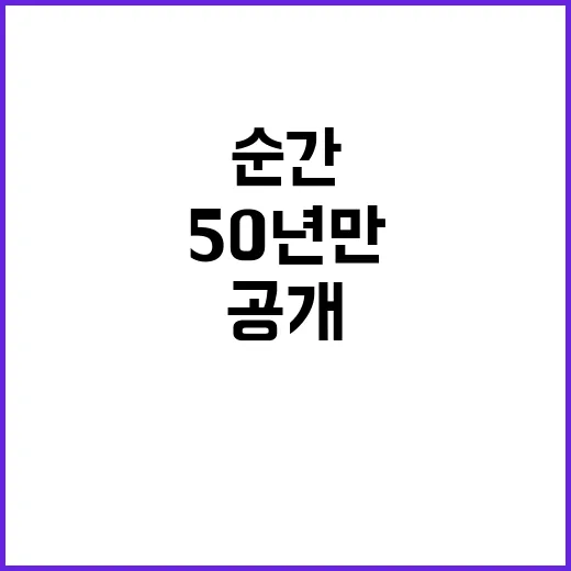 은행나무숲 50년 만의 공개! 특별한 순간!