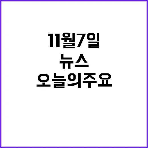 11월 7일 헤드라…